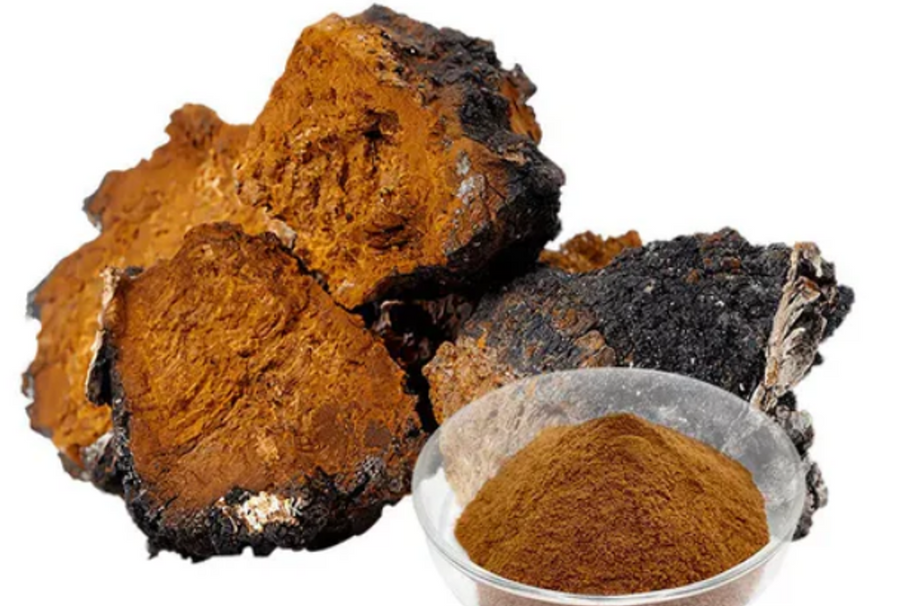 Mushroom Extracts &  Whole Powder Series